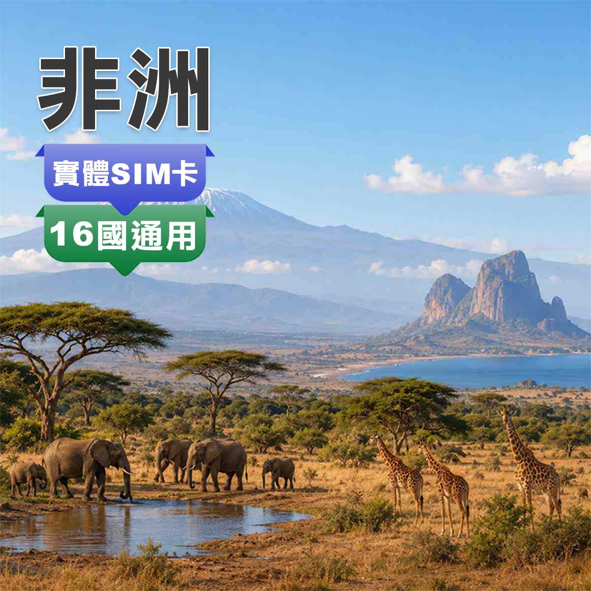 非洲SIM卡｜16國通用｜杜拜與土耳其轉機可用
