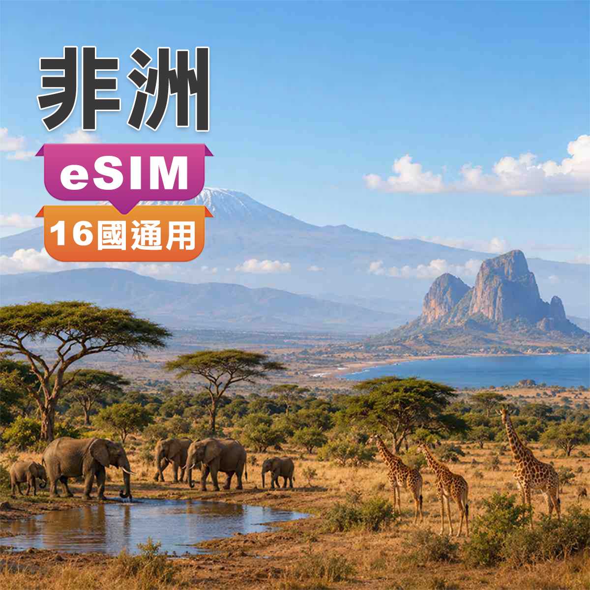 非洲eSIM｜16國通用｜杜拜與土耳其轉機可用