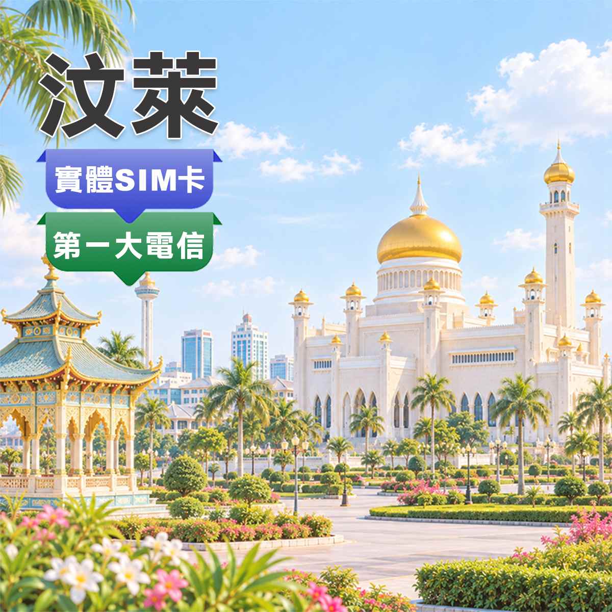 汶萊SIM卡｜第一大電信DST｜高速上網
